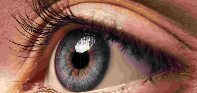Occhion affeto da glaucoma